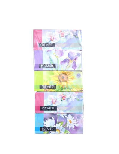 Picture of TISSUES.BOX(10X5BOX X170'S)PREMIER -2PLY