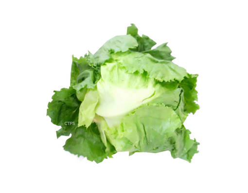 Picture of VEG-LETTUCE ENGLISH (500G)