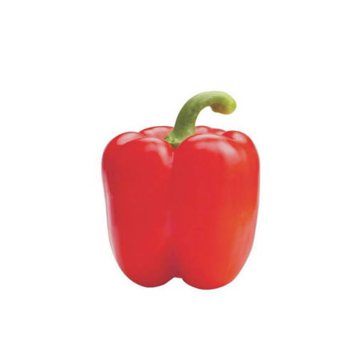 Picture of VEG-CAPSICUM RED(500G)