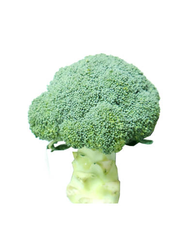 Picture of VEG-BROCCOLI (500G) FRESH