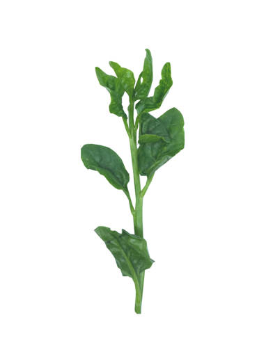 Picture of VEG-DI WANG MIAO (500G)